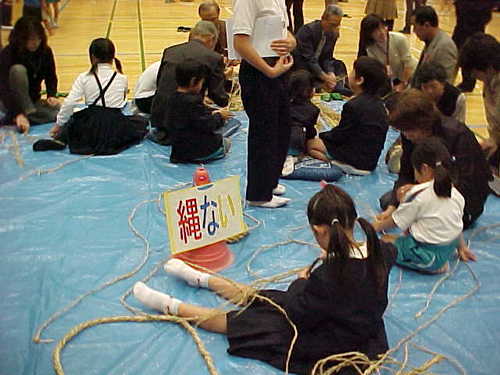 Mvc024s