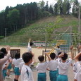 Mvc075s