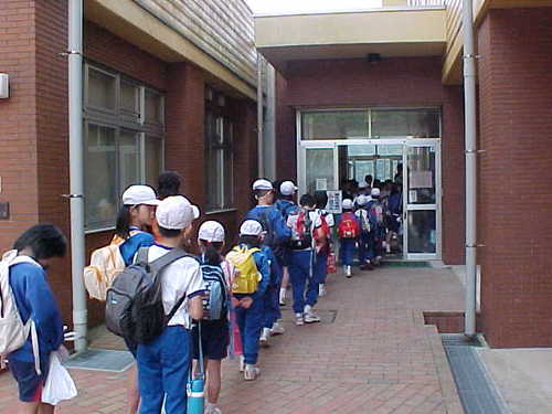 Mvc050s