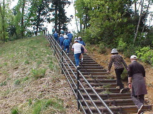 Mvc062s